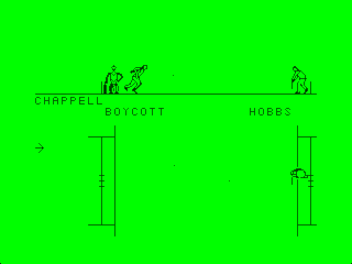 Cricket game screen #3