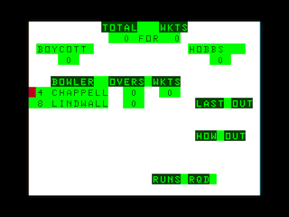 Cricket game screen #4