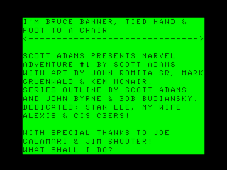 Questprobe #1: Hulk game screen #1