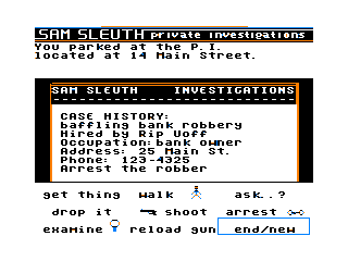 Sam Sleuth game screen