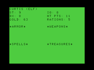 Wizard's Tower game screen #3